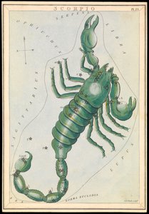Skorpioni, n.1825 (kortti, paperi, kudos )