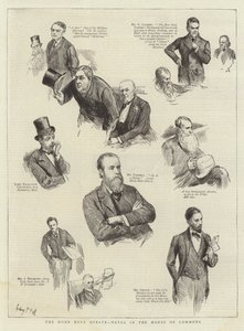 Home Rule Debate, muistiinpanot alahuoneessa
