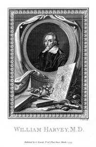 William Harvey, lääkäri, 1777. tekijältä T. Cook