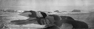 Graniittilohkot, joita muinaiset jäätiköt höyläsivät Cape Robertsissa, 1911, 1913.