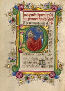 Alkuperäinen D: David in Prayer tekijältä Taddeo Crivelli