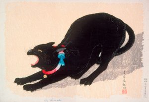 Suhiseva musta kissa tekijältä Takahashi Hiroaki
