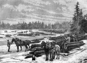 Kanadalaiset metsurit, 1800-luku.