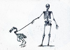 Walking my dodo, 2015 (sekoitettu media kankaalle) tekijältä Teis Albers