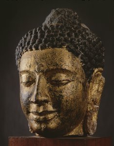 Jättiläinen Buddha-pää, jossa silmät kiinni, Srivijaya-tyyli