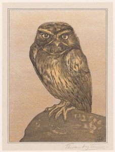 Pieni pöllö kivellä tekijältä Theo van Hoytema (signed by artist)