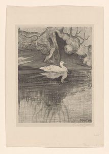 Lampi ankan kanssa tekijältä Theo van Hoytema (signed by artist)