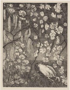 Kuollut lintu pähkinän ja kuusama oksien alla Flower Studies (alkuperäinen sarjan nimi)