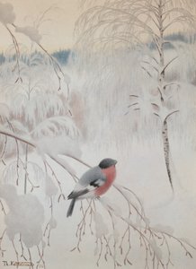 Punatulkku tekijältä Theodor Kittelsen