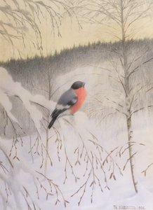 Bullfinch Frosty Twigissä