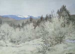 Kaukana metsässä tekijältä Theodor Kittelsen