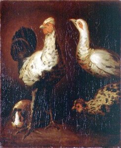 Kukko, kaksi kanaa ja marsu tekijältä Theodore Gericault