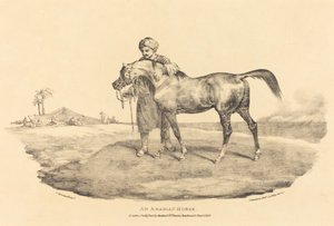 Arabian hevonen tekijältä Theodore Gericault