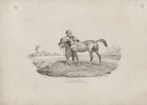 Arabialainen hevonen tekijältä Theodore Gericault