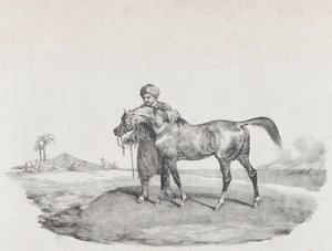 Arabian hevonen, 1821 tekijältä Theodore Gericault