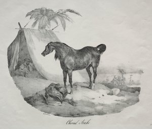 Arabi hevonen tekijältä Theodore Gericault