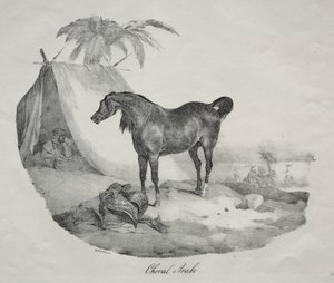 Arabianhevonen tekijältä Theodore Gericault