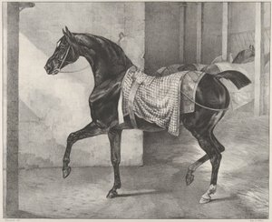 Talliin sidottu musta hevonen tekijältä Theodore Gericault