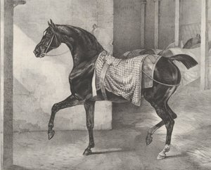 Musta hevonen sidottu talliin, 1822. tekijältä Theodore Gericault