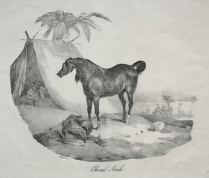 Arabian hevonen. tekijältä Theodore Gericault