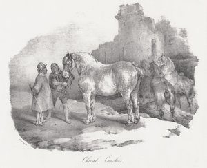 Cheval Cauchois (Cauxin, Normandian, alkuperäinen hevosrotu) tekijältä Theodore Gericault