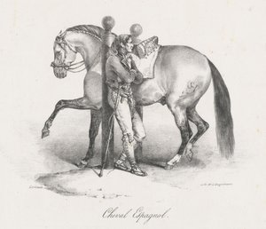 Espanjalainen hevonen (A Spanish Horse) tekijältä Theodore Gericault