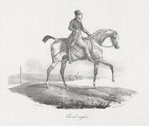 Englantilainen hevonen (An English Horse) tekijältä Theodore Gericault