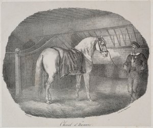 Cheval dHanovre. tekijältä Theodore Gericault