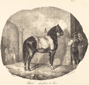 Caenfinnish Plain Horse tekijältä Theodore Gericault
