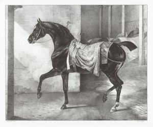 Talliin sidottu musta hevonen (A Black Horse Tethered in a Stable) tekijältä Theodore Gericault