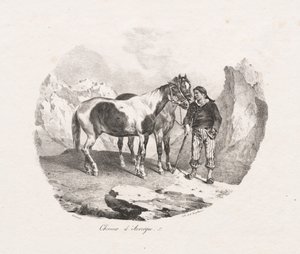 Auvergnen hevoset tekijältä Theodore Gericault