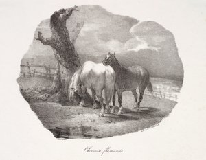 Flanderilaisia hevosia tekijältä Theodore Gericault