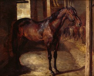 Dark Bay Horse tallissa