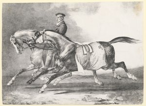 Kaksi pilkullista harmaata hevosta ulkoilutettavana (Two Dapple-Grays Being Exercised) tekijältä Theodore Gericault