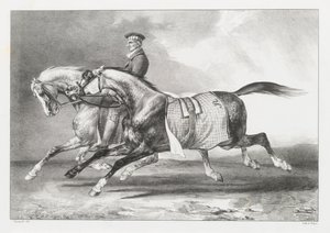 Kaksi pilkullista harmaata hevosta ulkoilutettavana (Two Dapple-Grays Being Exercised) tekijältä Theodore Gericault