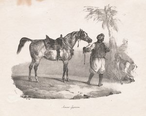 Egyptin tamma tekijältä Theodore Gericault