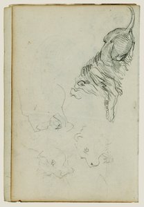 Neljä leijonatutkimusta tekijältä Theodore Gericault