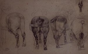 Valjastetut hevoset (lyijykynä) tekijältä Theodore Gericault