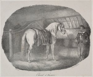 Hevonen Hannoverista tekijältä Theodore Gericault