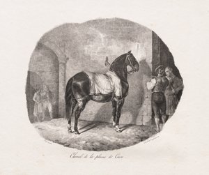 Caenin tasangon hevonen tekijältä Theodore Gericault