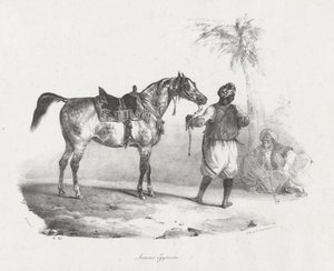 Egyptiläinen tamma (An Egyptian Mare) tekijältä Theodore Gericault