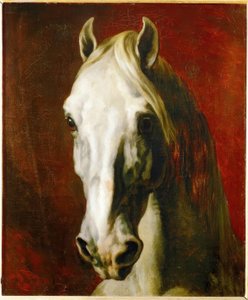 Kopf eines Schimmels tekijältä Theodore Gericault