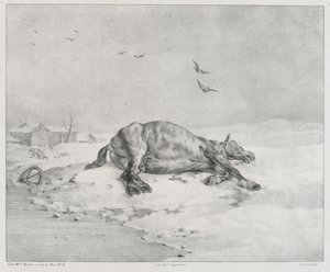 Kuollut hevonen (The Dead Horse) tekijältä Theodore Gericault