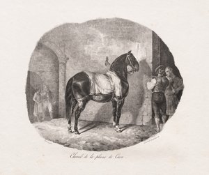 Litografoidut hevostutkimukset: Pl. 7, hevonen Caenin tasangolta tekijältä Theodore Gericault