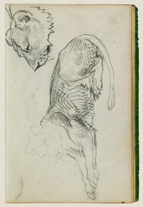 Istuva leijona, leijonattaren pää tekijältä Theodore Gericault