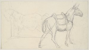Hevosen luonnos tekijältä Theodore Gericault