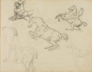 Luonnoksia: Hevosmies ja erilaisia hevosia. tekijältä Theodore Gericault