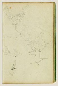 Tutkimukset istuvasta hirvestä, hirvenvasikasta ja vuohenpäästä tekijältä Theodore Gericault