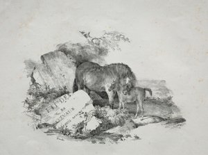 Tamma ja sen varsa tekijältä Theodore Gericault