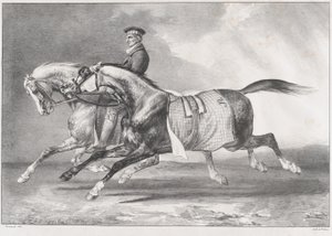 Kaksi pilkullista harmaata hevosta liikuntaharjoituksessa tekijältä Theodore Gericault